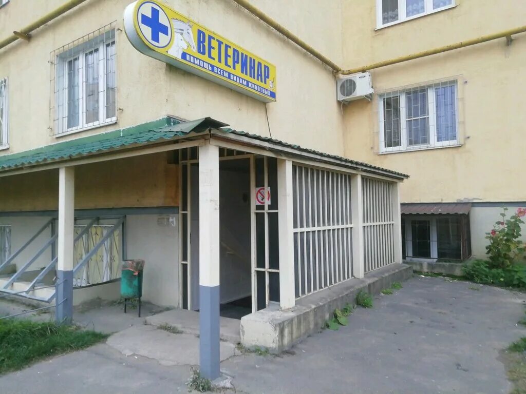 чистопольская 11 ростов-на-дону ветклиника. ветклиника стая тверь. ветклиника стая тверь. ветклиника ржев большая спасская. тверь улица завидова 25.