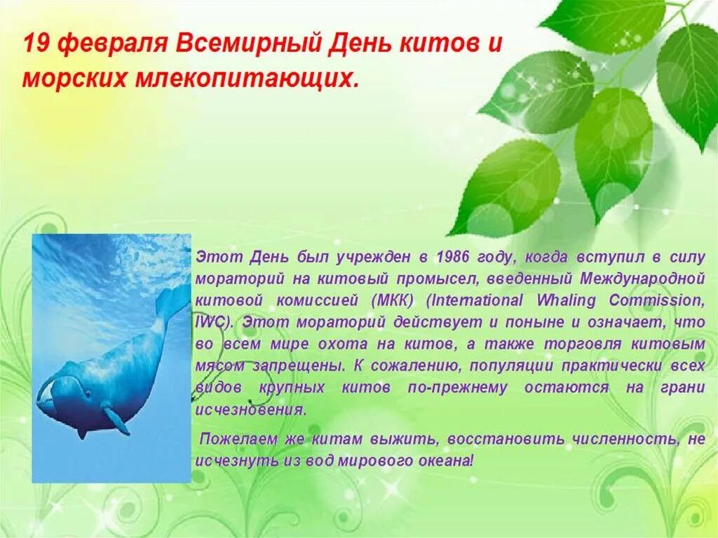 Экологические дни в году. Всемирный день защиты млекопитающих. Экологический календарь презентация. Экологические даты. Экологические даты в феврале.