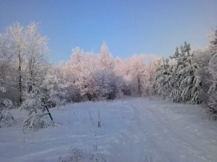 Погода в шэръяге