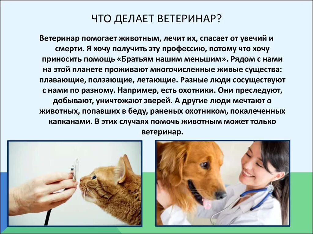 Ветеринар впр. Профессия ветеринар. Профессия ветеринар сочинение. Что делает велителенар. Ветеринар доклад.