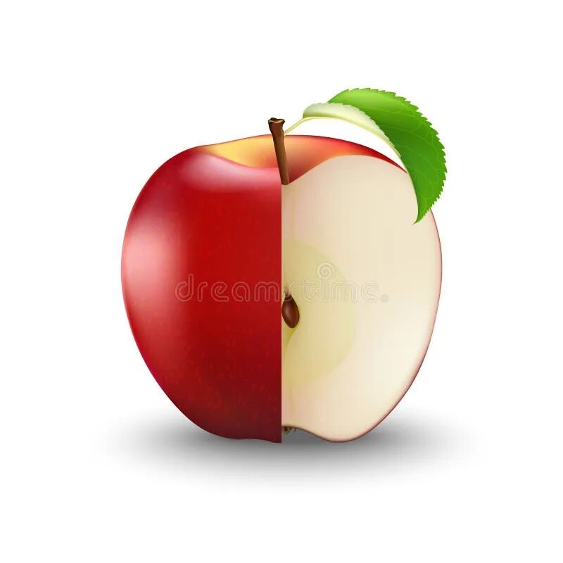 Или кусочек яблока или орешек. Долька красного яблока. Яблоко красное реалистичное. Кусок яблока. Отрезанный кусок яблока.