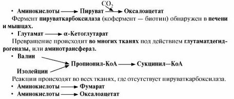 Фермент пирувата