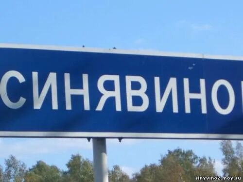 Синявино ленинградская область погода на 10 дней. Поселок Синявино. Синявино Ленинградская область. Синявино 2. Синявино фото.