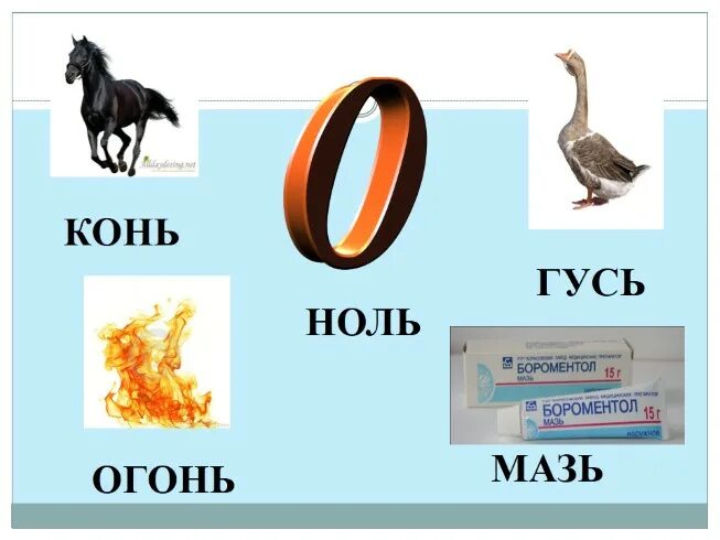 Слова с буквами коне. Гусь и конь. Огонь конь буква ь. Буква ь Гусь. Слово лошадь.