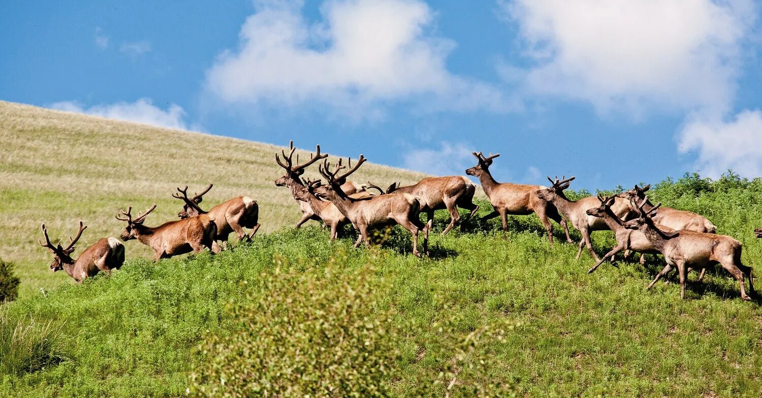 горные предприятия являются. рудник в горах. горнодобывающая промышленность характеристика. добыча доломита. добывающая промышленность.