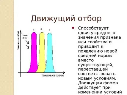 Условие движущего отбора