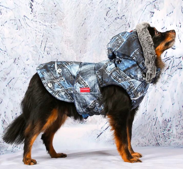 My dogs 3. Попона formydogs. попона for my dogs. попона для собак for my dogs fw641. попона formydogs серебро.