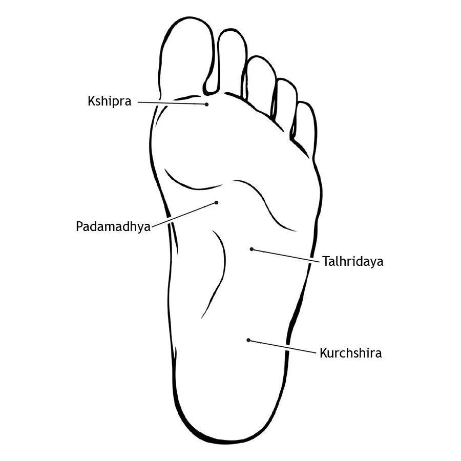 Марма Видья. Марма массаж точки. Точки на стопе. Рефлекторные точки на стопе.