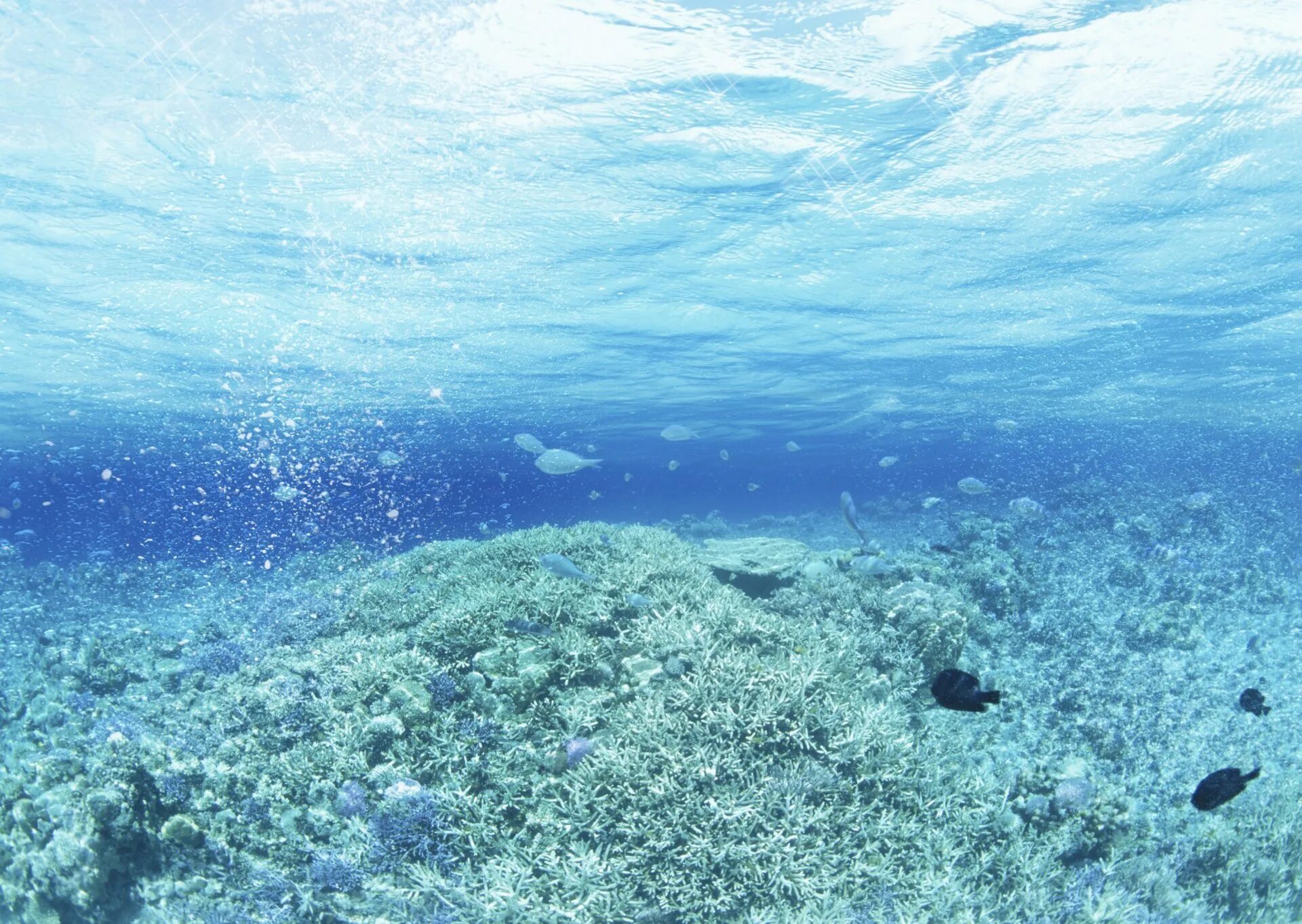 Как выглядит морская вода