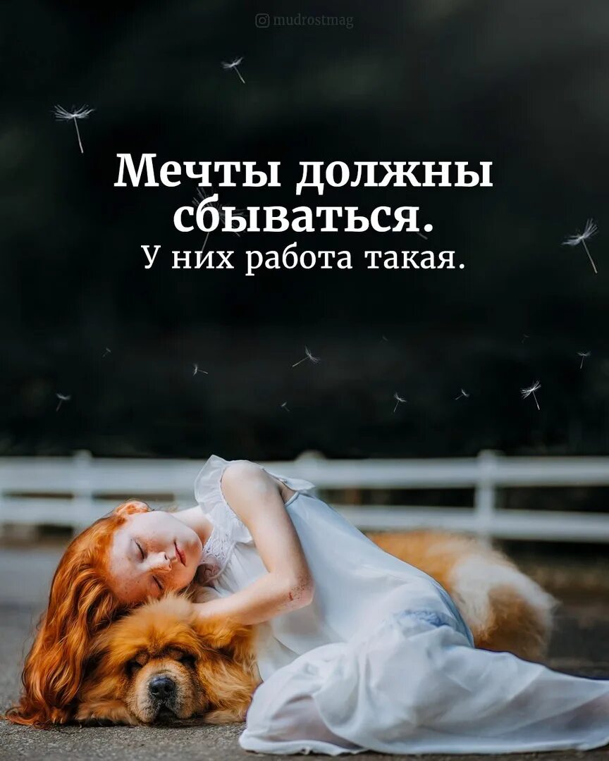 Что со мной сбудется. Мечты сбываются. Мечты должны сбываться. Мечтайте мечты сбываются. Цитаты про мечты и желания.