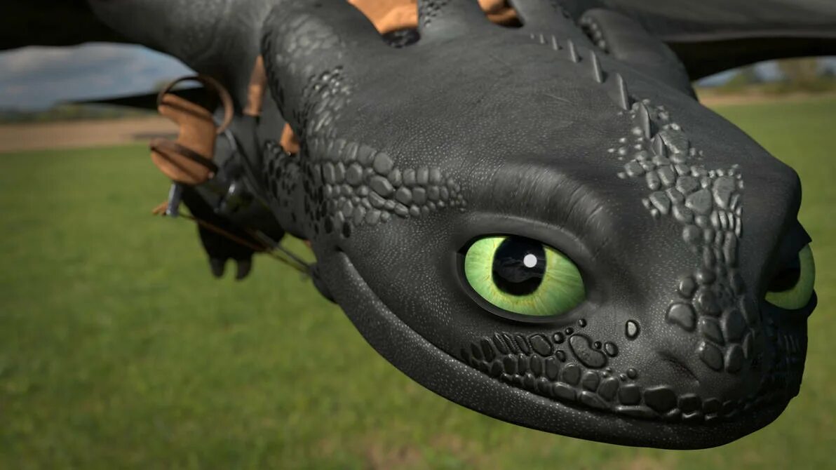 Дракона 3 фурия. Ночная фурия 3. Как приручить дракона 3 Беззубик. HTTYD 3 Toothless. Ночная фурия Беззубик.