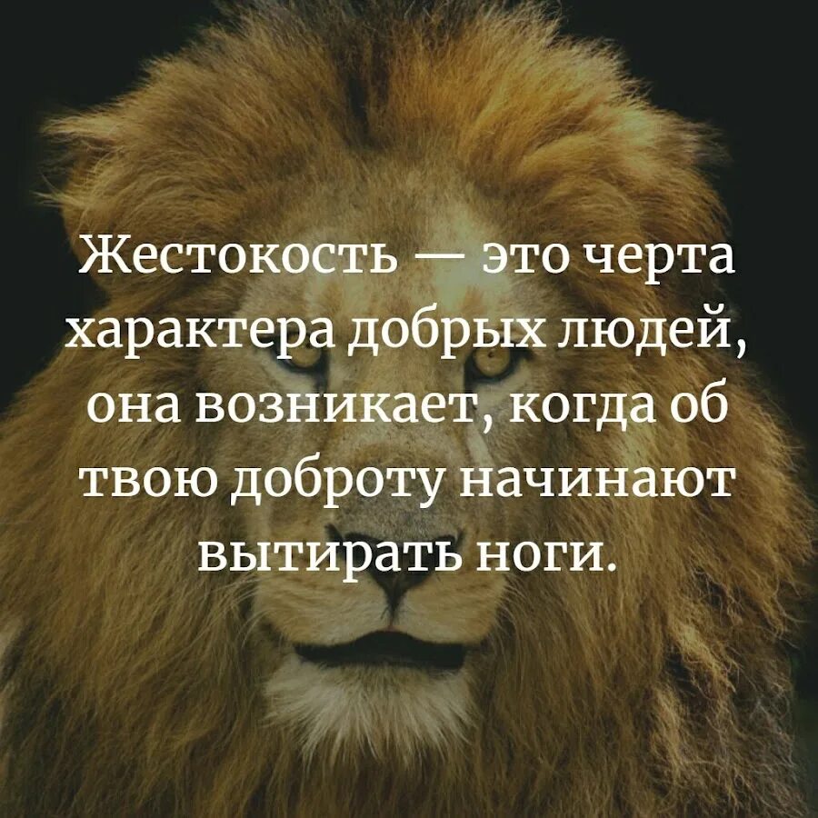 Будьте черти добрее. Жестокость это черта характера добрых людей она. Жестокость это характер добрых людей. Жесткость эта черта характера. Жескость это черта характера.