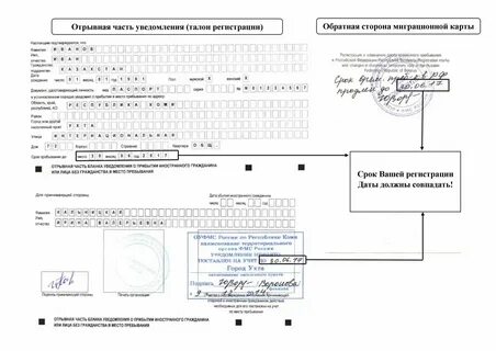 Какие коды периода ставить в уведомлении