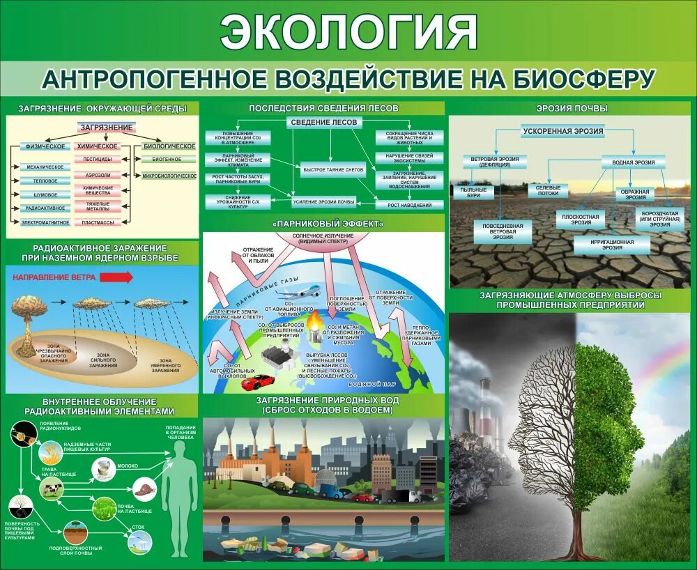 Антропогенное воздействие допустимо. Экология антропогенное воздействие на биосферу. Стенд экология. Информационный стенд экология. Стенд экология антропогенное воздействие на биосферу.