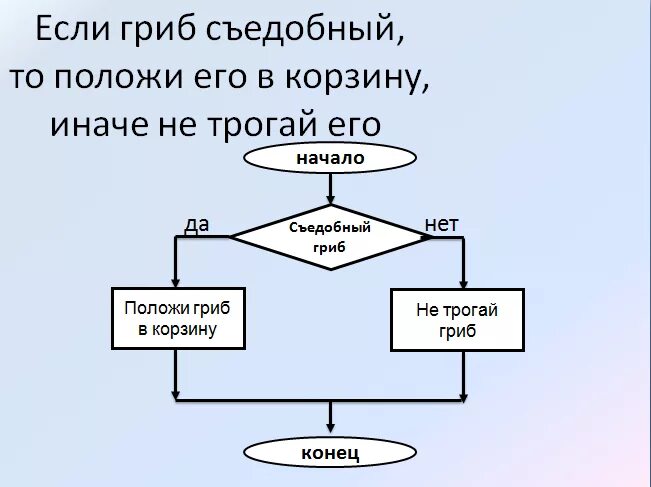 Алгоритм 6 класс. Алгоритм блок схема Информатика 6 класс. Блок-схема для задачи, содержащей разветвление.. Блок схема алгоритма с ветвлением. Блок схема в ветвлении алгоритма информатике.