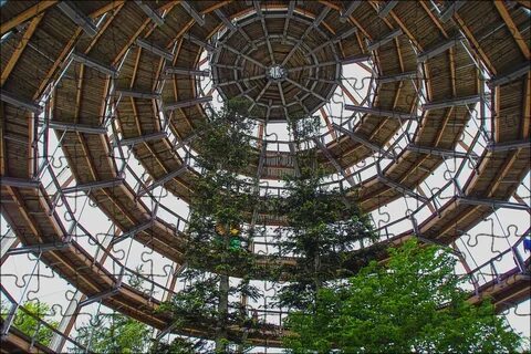 Build tree