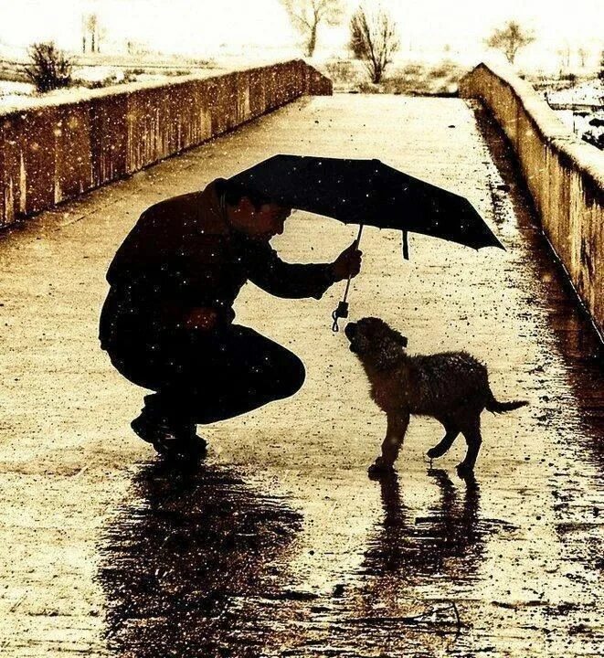 Добрые поступки. Добрые дела и поступки. Добро людям. Добрые поступки. Человек и его поступки.