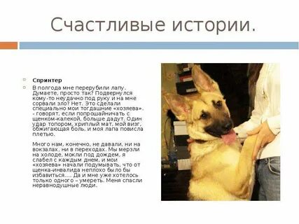 Дает всем рассказ
