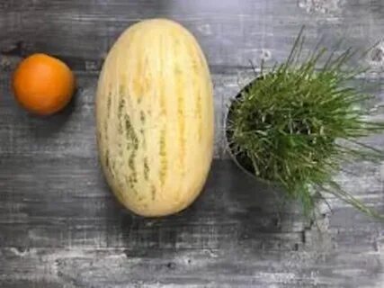 Дыня по другому