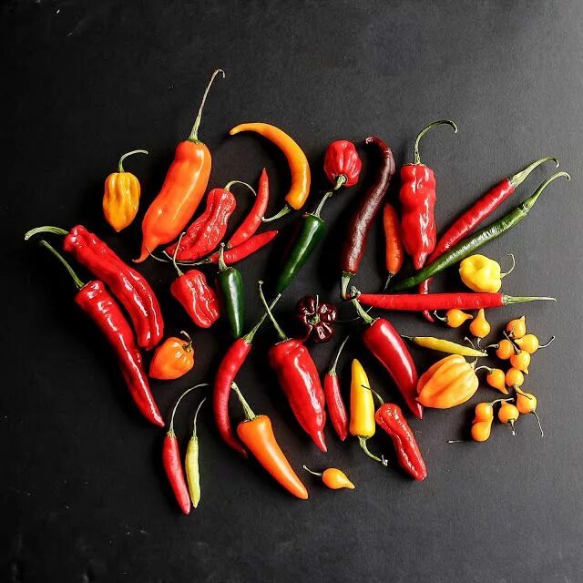 Chilli pepper. Перец Чили. Горячий перчик. Тайский перец. Hot перец.