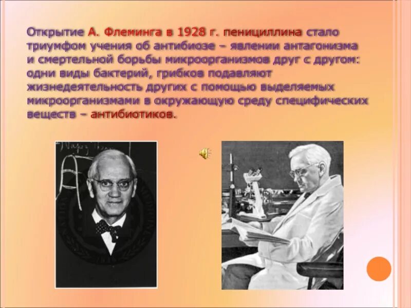 Кто первый открыл пенициллин. Флеминг пенициллин 1928. Флеминг открыл антибиотики в 1928г.. Флеминг пенициллин презентация.