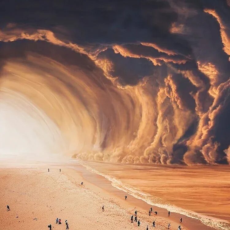 Желтый шторм. Самум Песчаная буря. Самум ветер пустыни. Песчаный Торнадо. Хамсин ветер пустыни.