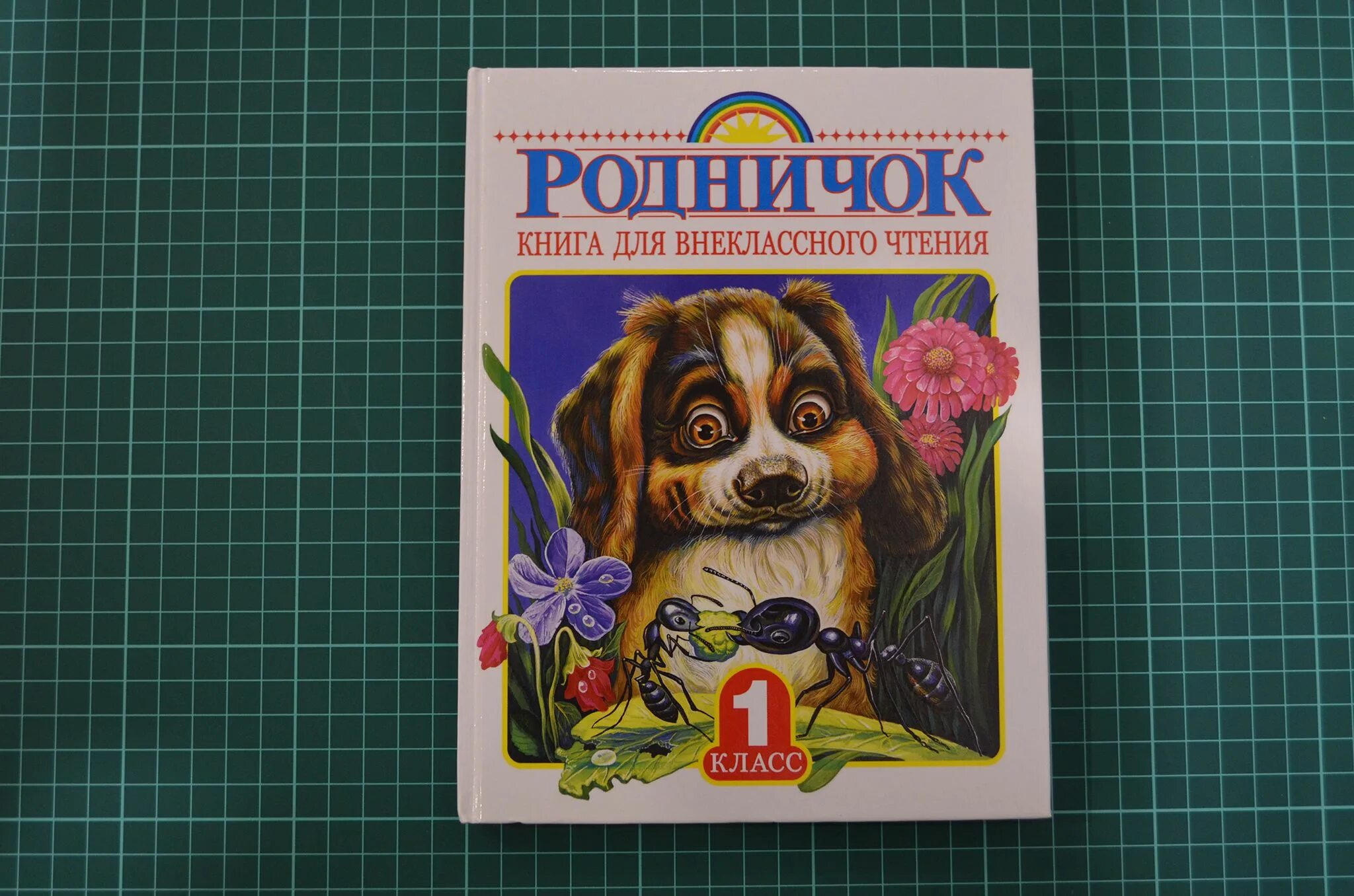 Родничок чтение. Родничок для внеклассного чтения. Родничок книга для внеклассного чтения. Родничок для внеклассного чтения 1 класс. Книжка Родничок 1.