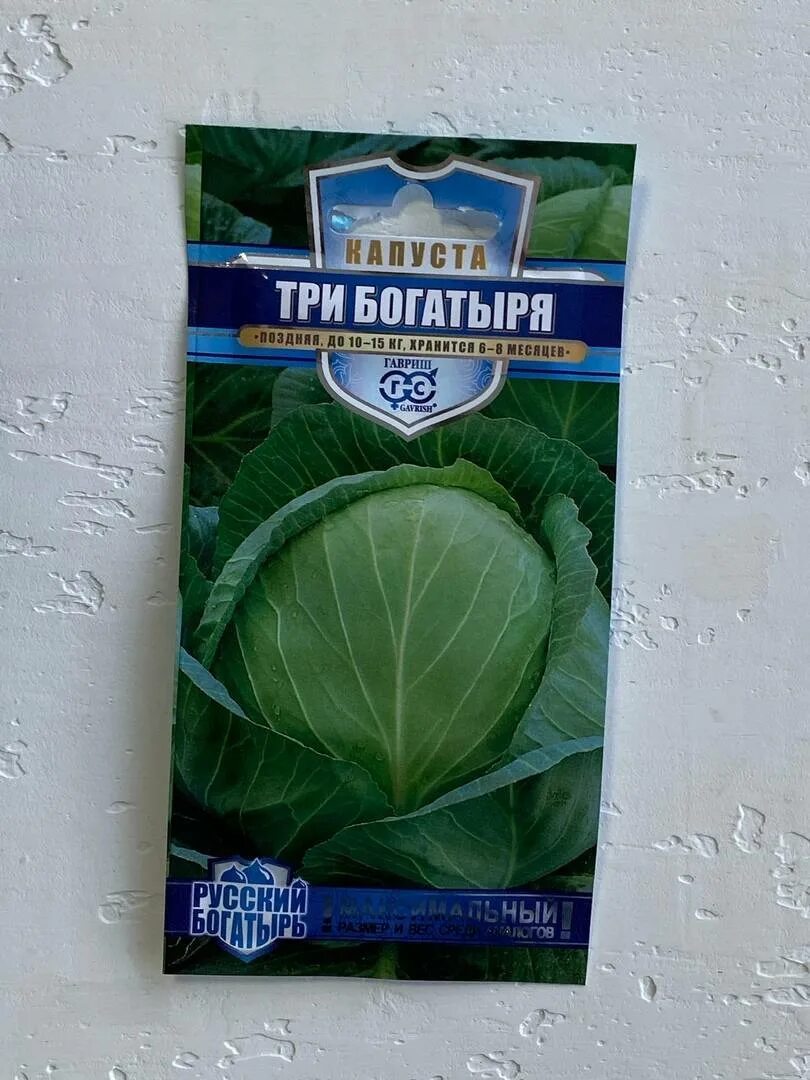 Капуста три богатыря описание сорта. Семена капусты три богатыря. гавриш капуста три богатыря. капуста три богатыря описание.