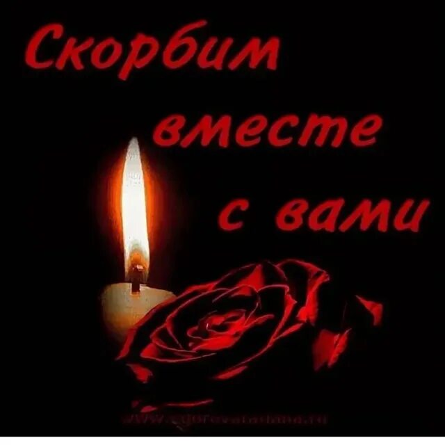 Соболезнование помним скорбим. Скорбим. скорбим вместе. скорбим и соболезнуем. скорбим вместе с вами.