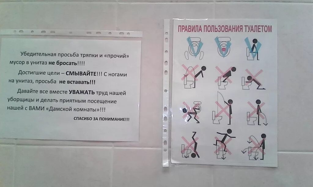 Как получить много чипов в туалет. Правило пользование туалетом. правила пользования туалетом. инструкция пользования туалетом. правила пользования общественным туалетом.