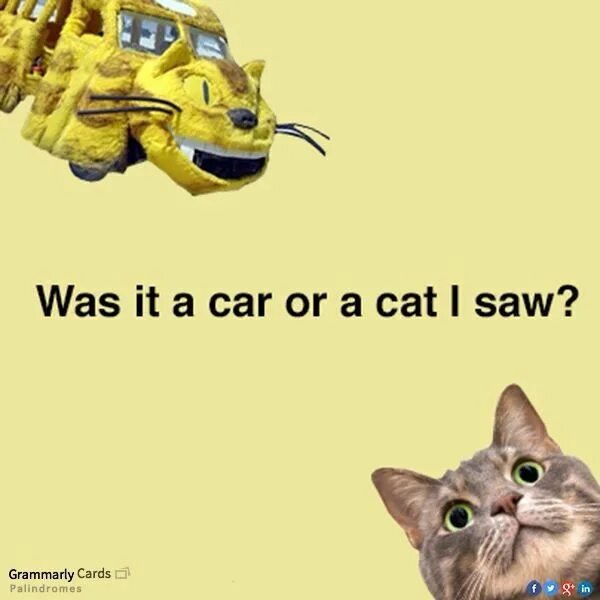 Grammar Cat. It is a Cat. I see a Cat. I have a Cat или i have Cat.