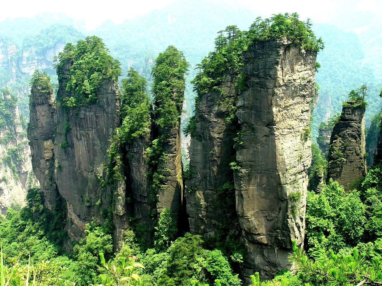 Восточно китайские горы. Национальный парк Чжанцзяцзе. Чжанцзяцзе (национальный Лесной парк). Парк Чжанцзяцзе Китай. Национальный парк Чжанцзяцзе скалы.