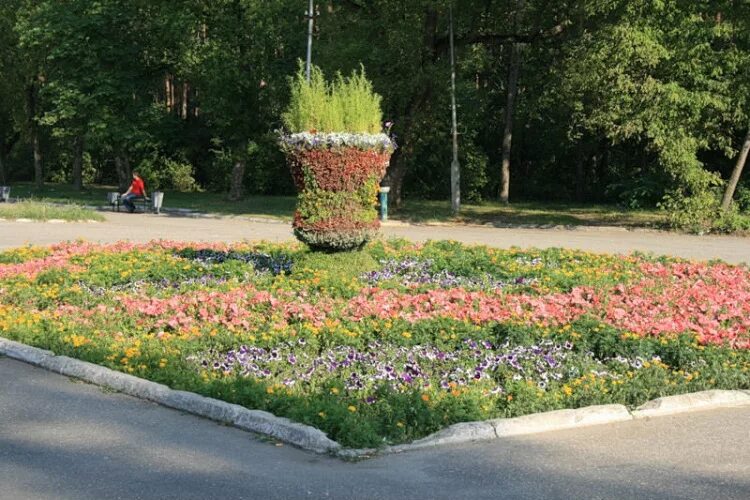 Фестиваль цветущий липецк. Липецк цветы в парках. Город цветов липецк. Городские клумбы. Клумбы липецка.