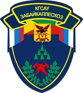 Казань кгсау