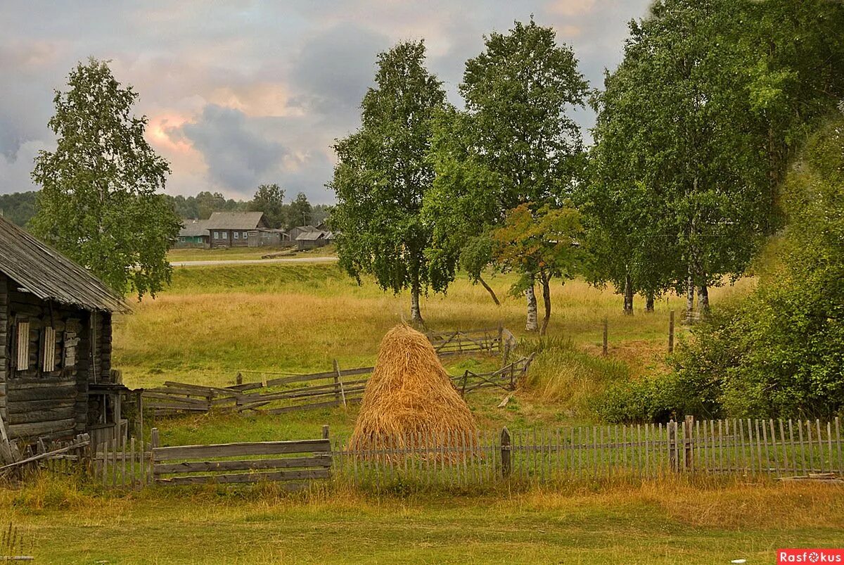 Rus village. Псков деревня природа. Деревня деревеньки Ивановской области. Сельский пейзаж. Лето в деревне.