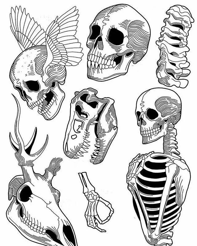 Череп скелет рисунок. Скелет рисунок. череп эскиз. скелет эскиз. эскизы тату скелет.