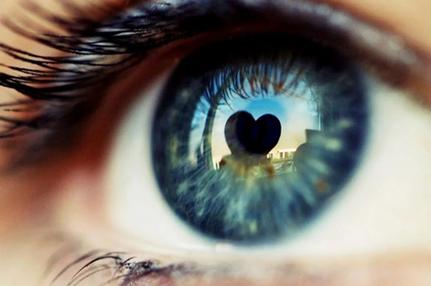 Глаза наполненные жизнью. Красивые глаза. Красивые глазки. Красивые голубые глаза. Отражение в глазах.