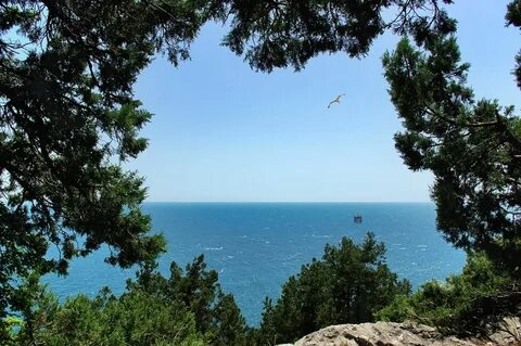 Какое лето на черном море