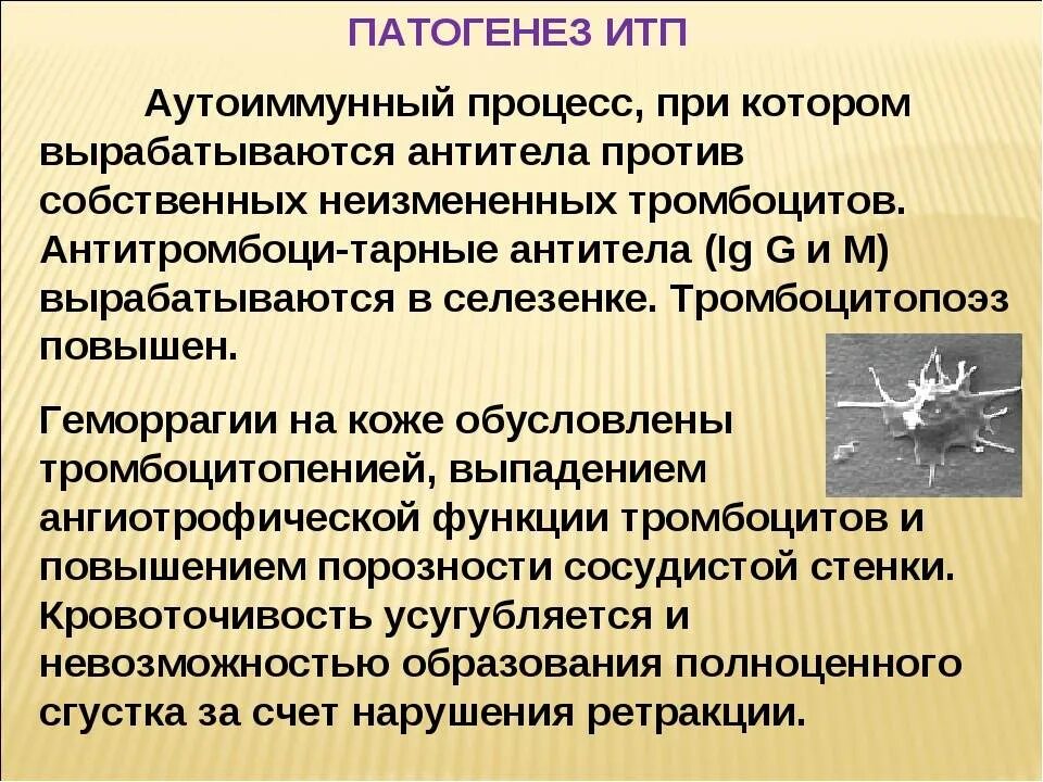 Идиопатический тромбоцитопенической пурпуры у детей. Идиопатический тромбоцитопенической пурпуры у детей. Идиопатический тромбоцитопенической пурпуры у детей. Болезнь верльгофа этиология. Тромбоцитопатия и тромбоцитопеническая пурпура.