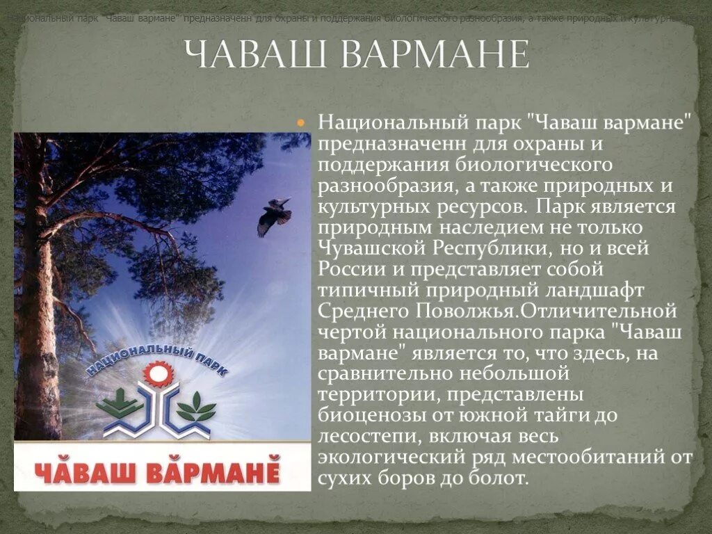 Чувашия в какой природной зоне. Национальный парк Чувашии Чаваш вармане. Заповедники и национальные парки в Чувашии. Национальный парк Чаваш вармане доклад. Парк Чувашии национальный парк Чаваш вармане сообщение 4 класс.