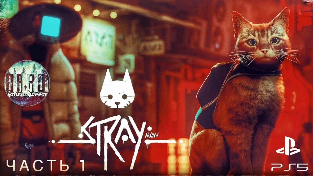 Кошачий плейстейшен. Stray игра про кота. Stray игра 2021. Stray (2021). Stray ps4.