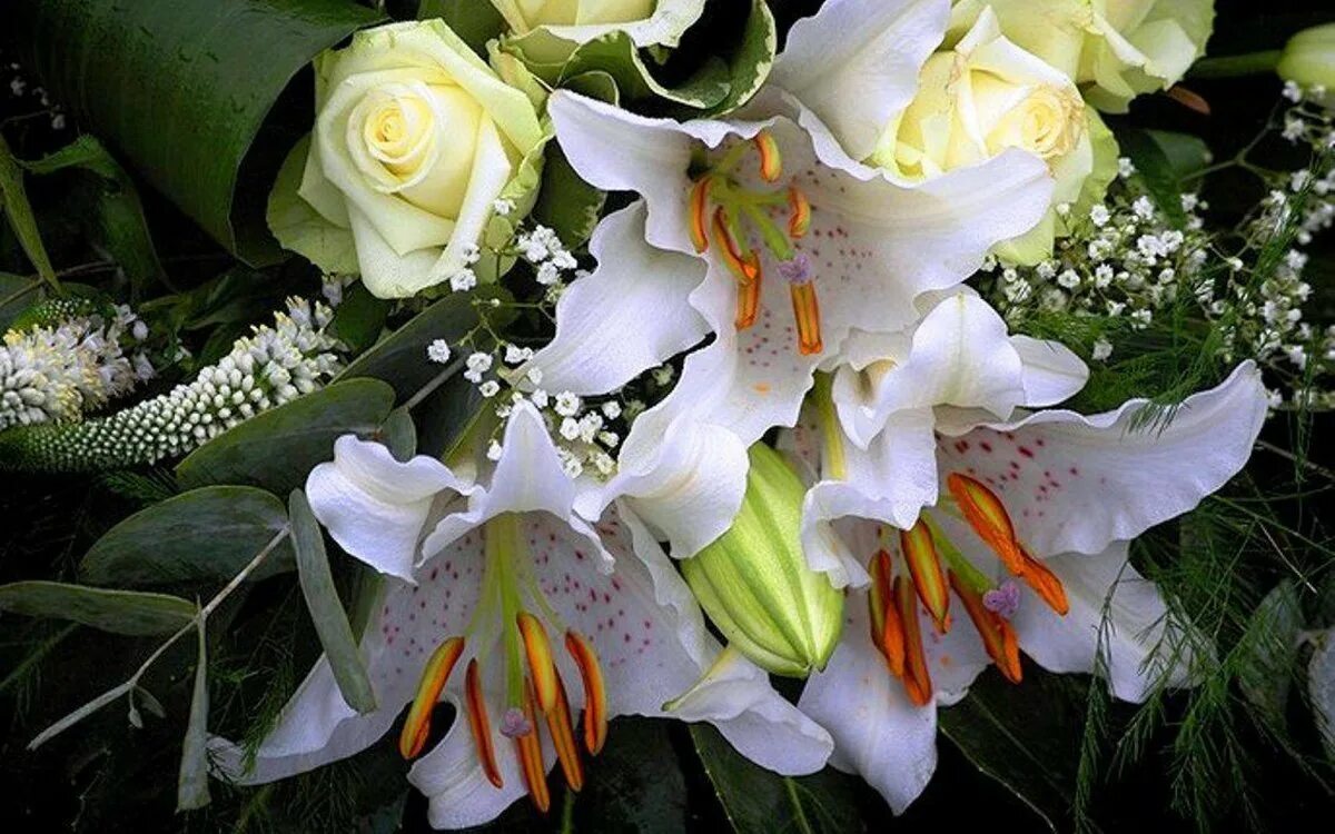 Красивое поздравление с днем рождения лилии. Лилия Elena. Лилия Надараиа. Букет "лилии". Красивый букет лилий.
