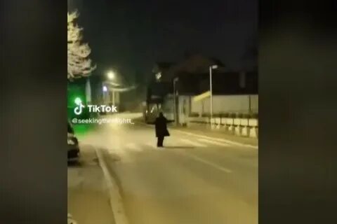 Сербская леди как вызвать на улице