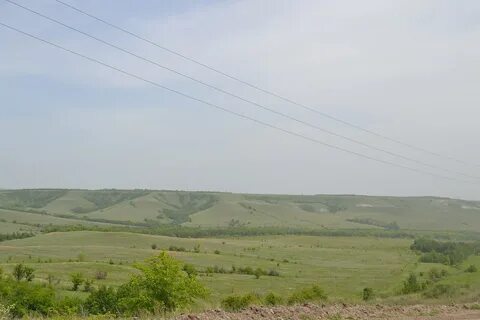 Погода синенькие