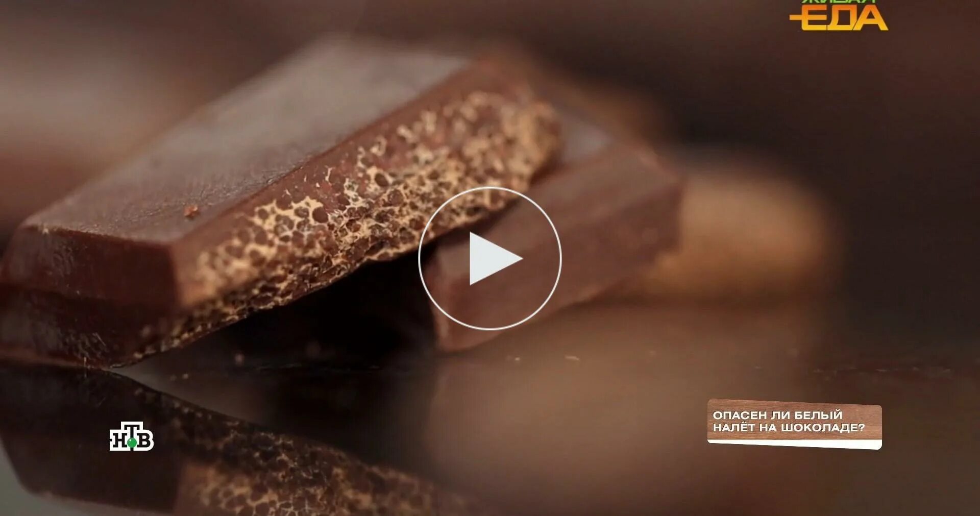 Chewy Chocolate-Gingerbread Cookies Recipe Chocolate gingerbread cookies, Ginger