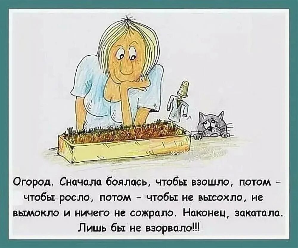 Огород юмор. Анекдоты про огород. Цитаты про огород смешные. Шутки про огород.