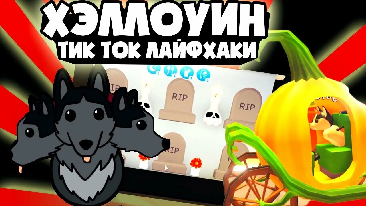 Адопт ми хэллоуин 2025 тыквы. Хэллоуинские питомцы в adopt me. адопт ми новый хэллоуин. адопт ми хэллоуин обновление. адопт ми дом к хэллоуину.