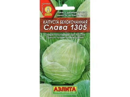 Капуста для квашения лучшие сорта