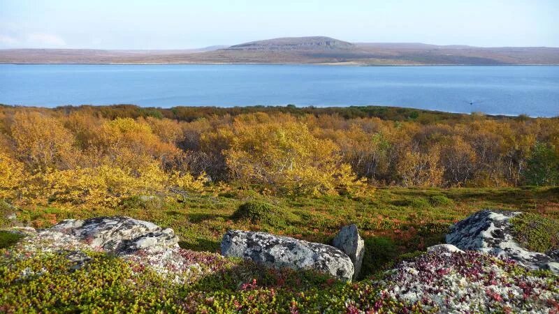 Растаял в далёком рыбачий песня. Растаяли рыбачий. Поселок рыбачий камчатка. Полуостров средний и рыбачий. Лабиринт на рыбачьем.