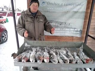Погода в симбухово наро фоминский на 10. Симбухово рыбалка. симбухово платная рыбалка. пруд симбухово.